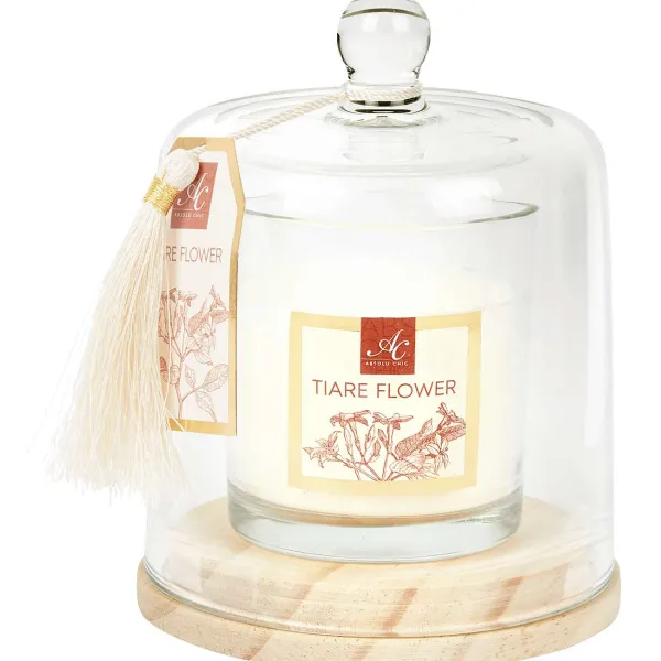 Candra Kaarsen^Absolu Chic Geurkaars In Stolp