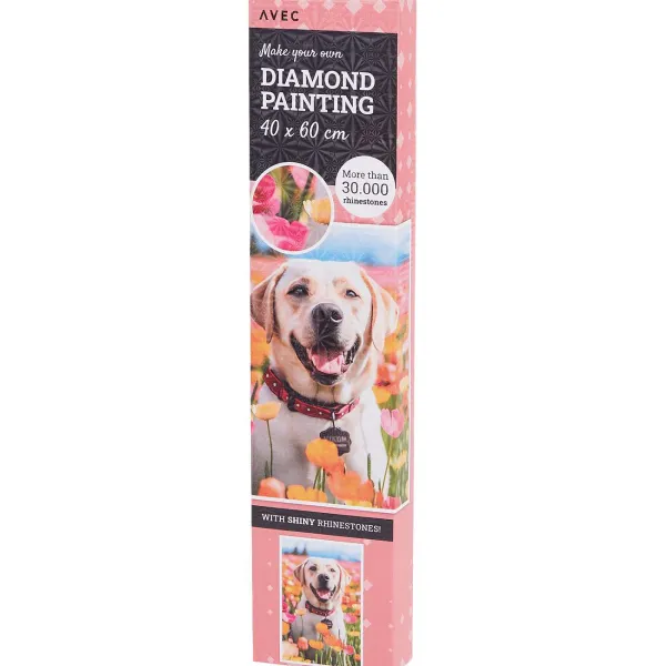 Disney Knutselen^Avec Diamond Painting