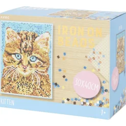 Disney Knutselen^Avec Strijkkralen-Schilderij