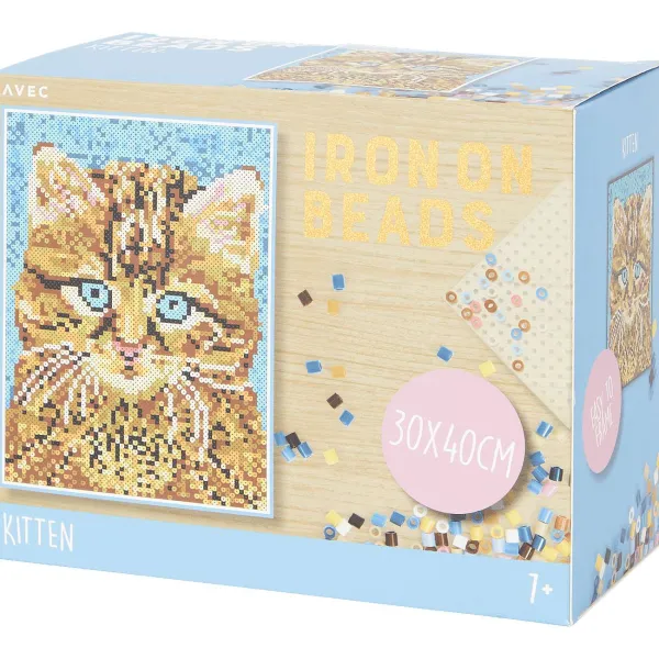 Disney Knutselen^Avec Strijkkralen-Schilderij