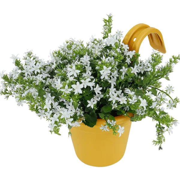 Merk Bloempotten^Balkonbloempot