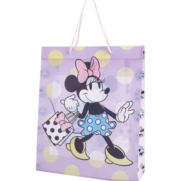 Disney Inpakken^Cadeautas