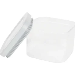 Curver Bewaren & Meenemen^Vershouddoos