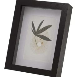 Merk Fotolijstjes^Fotolijst Met Passepartout