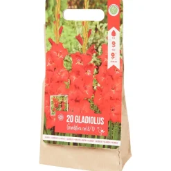 Green Boots Zaaien & Planten^Gladiolen Bloembollen