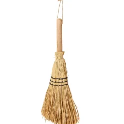 National Geographic Tenten^Handbezem