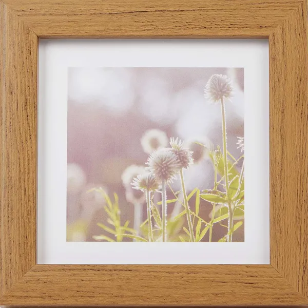 Merk Fotolijstjes^Home Accents Fotolijst