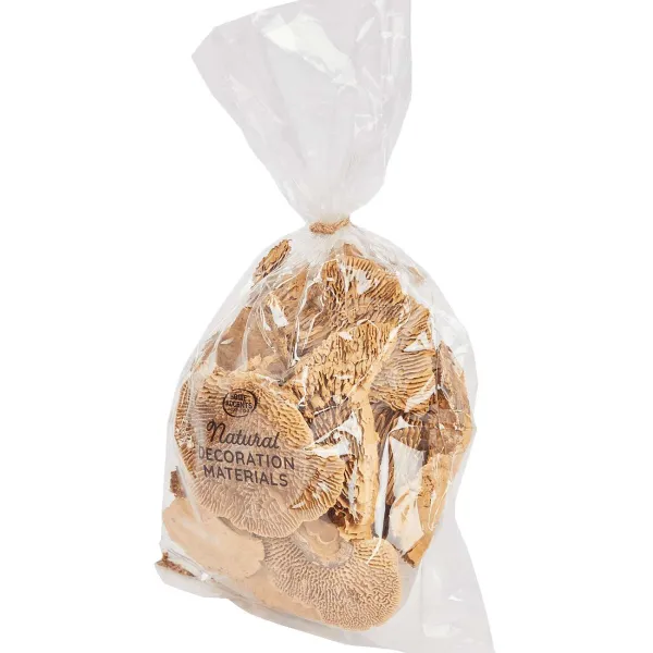 Merk Kunstplanten & -Bloemen^Home Accents Natural Droogmix