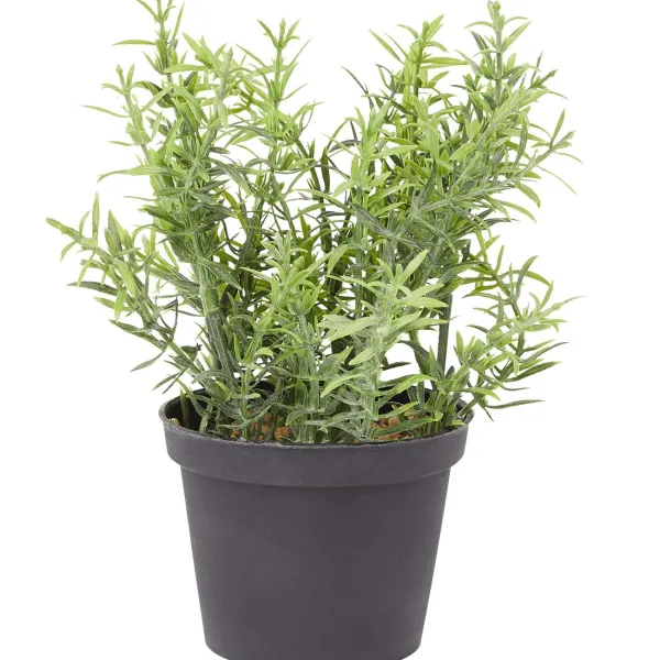 Merk Kunstplanten & -Bloemen^Kunstkruidenplant