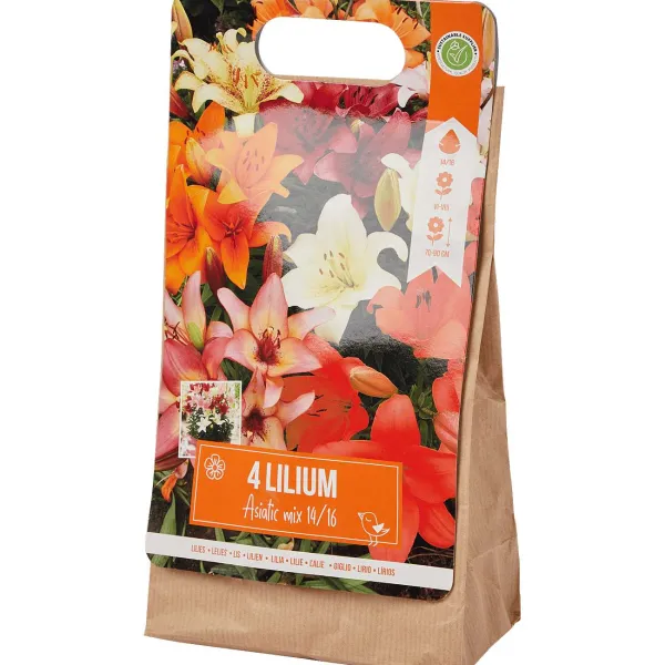 Green Boots Zaaien & Planten^Lelie Bloembollen