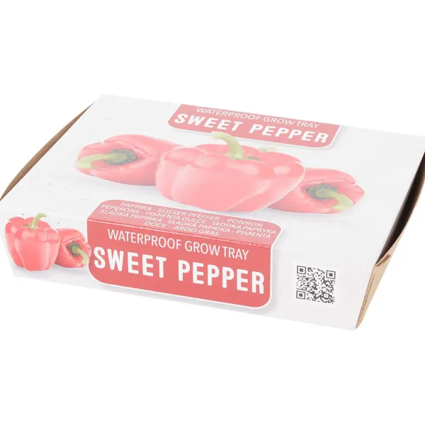 Green Boots Zaaien & Planten^Mini-Kweekset