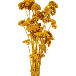 Merk Kunstplanten & -Bloemen^Nederlandse Droog Kunstbloemen