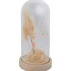 Merk Woonaccessoires^Stolp Met Droogbloemen En Licht