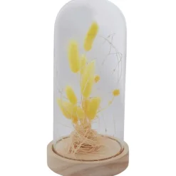 Merk Woonaccessoires^Stolp Met Droogbloemen En Licht