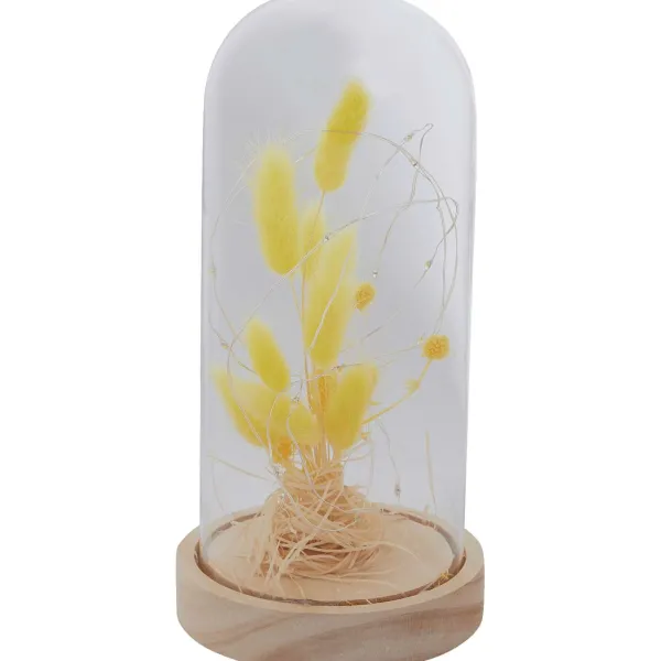 Merk Woonaccessoires^Stolp Met Droogbloemen En Licht