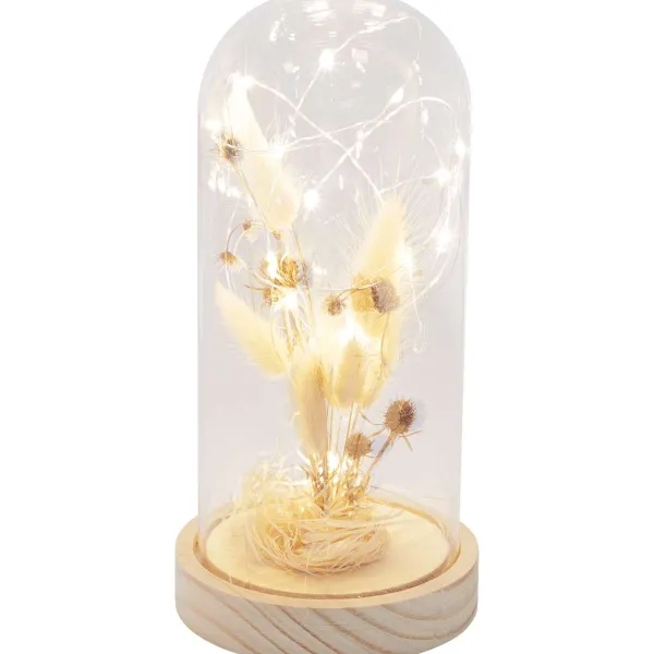 Merk Woonaccessoires^Stolp Met Droogbloemen En Licht