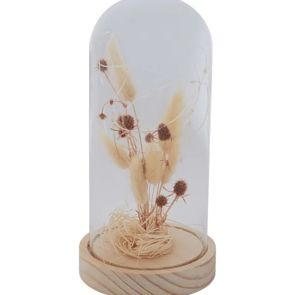 Merk Woonaccessoires^Stolp Met Droogbloemen En Licht